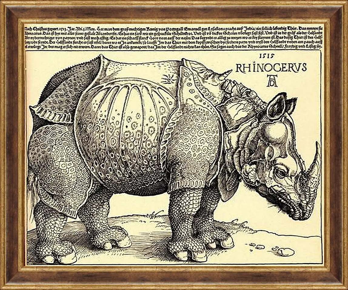 Картина в раме - Rhinoceros. Носорог. Альбрехт Дюрер