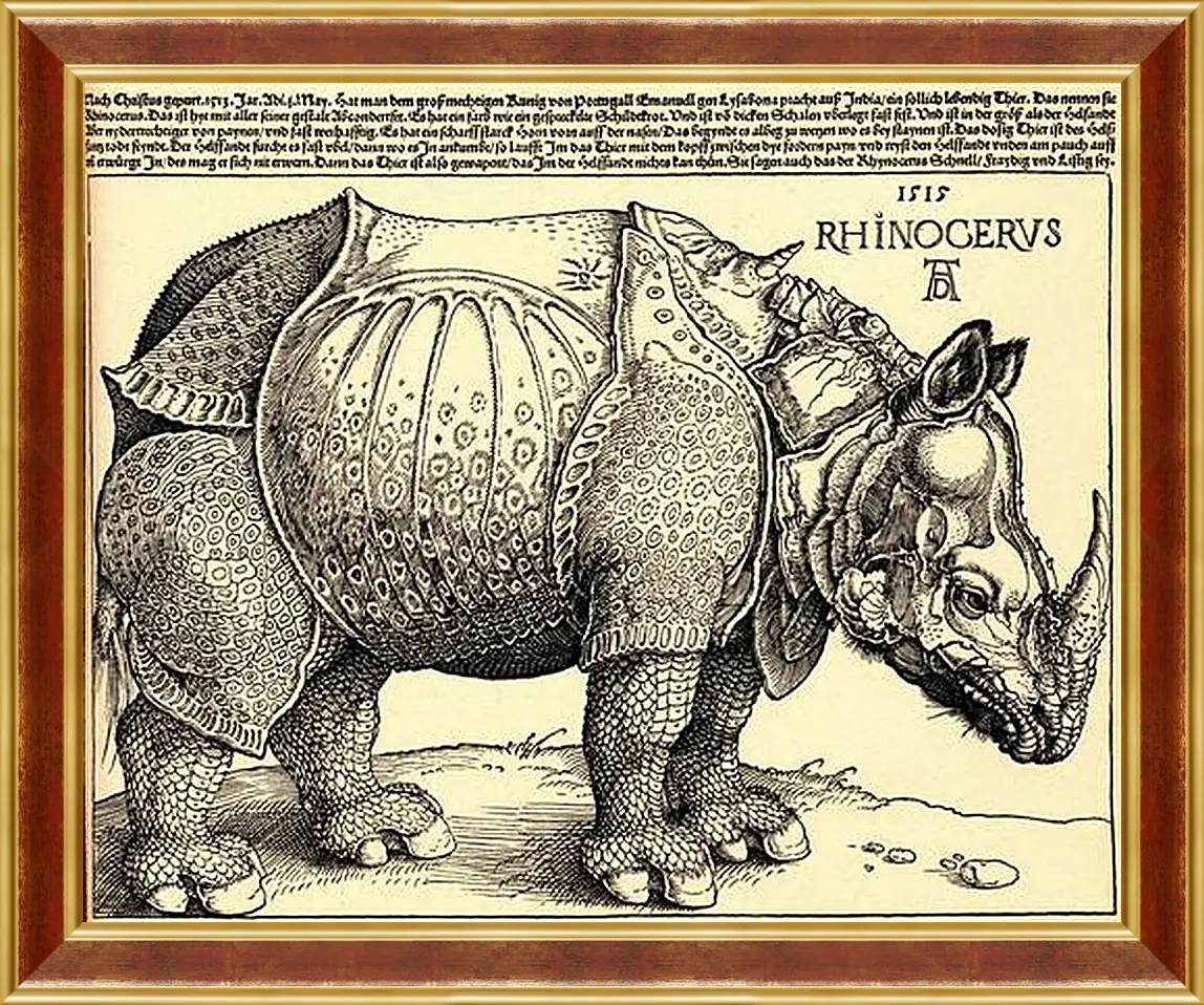 Картина в раме - Rhinoceros. Носорог. Альбрехт Дюрер