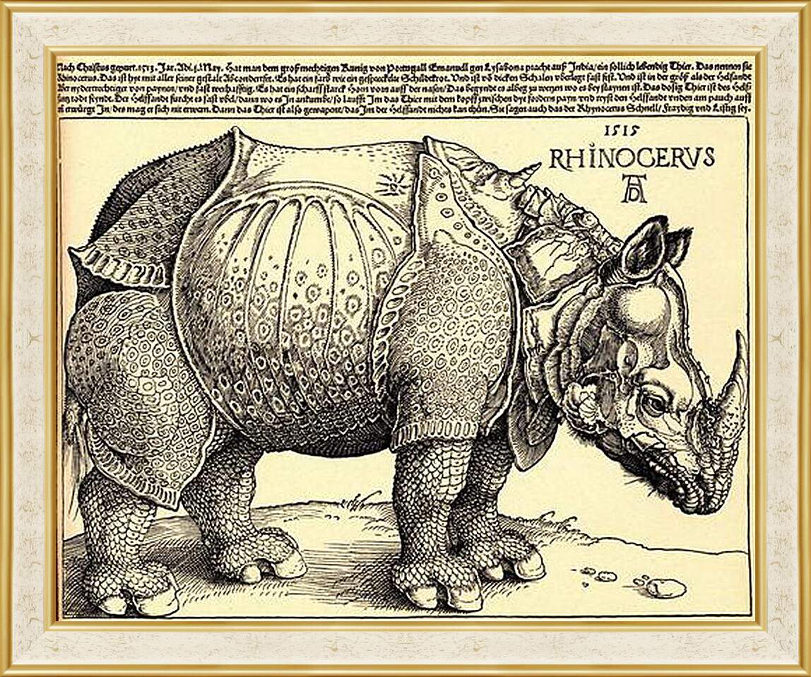 Картина в раме - Rhinoceros. Носорог. Альбрехт Дюрер