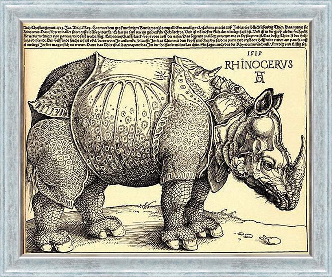 Картина в раме - Rhinoceros. Носорог. Альбрехт Дюрер