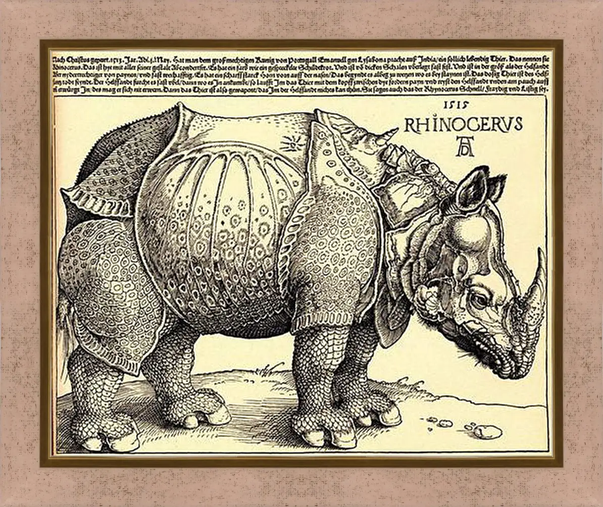 Картина в раме - Rhinoceros. Носорог. Альбрехт Дюрер