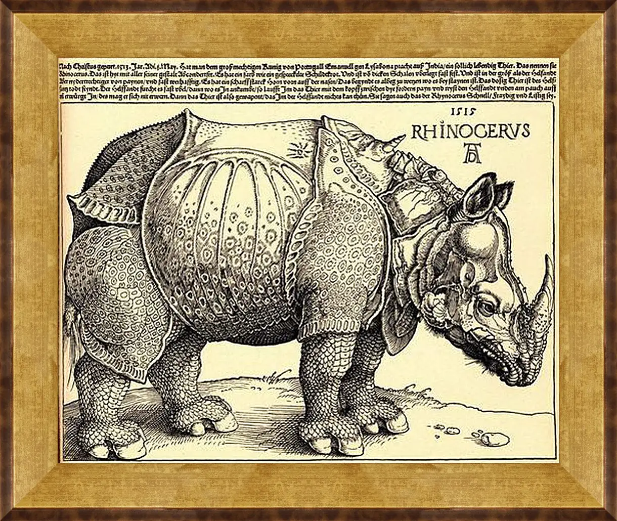 Картина в раме - Rhinoceros. Носорог. Альбрехт Дюрер