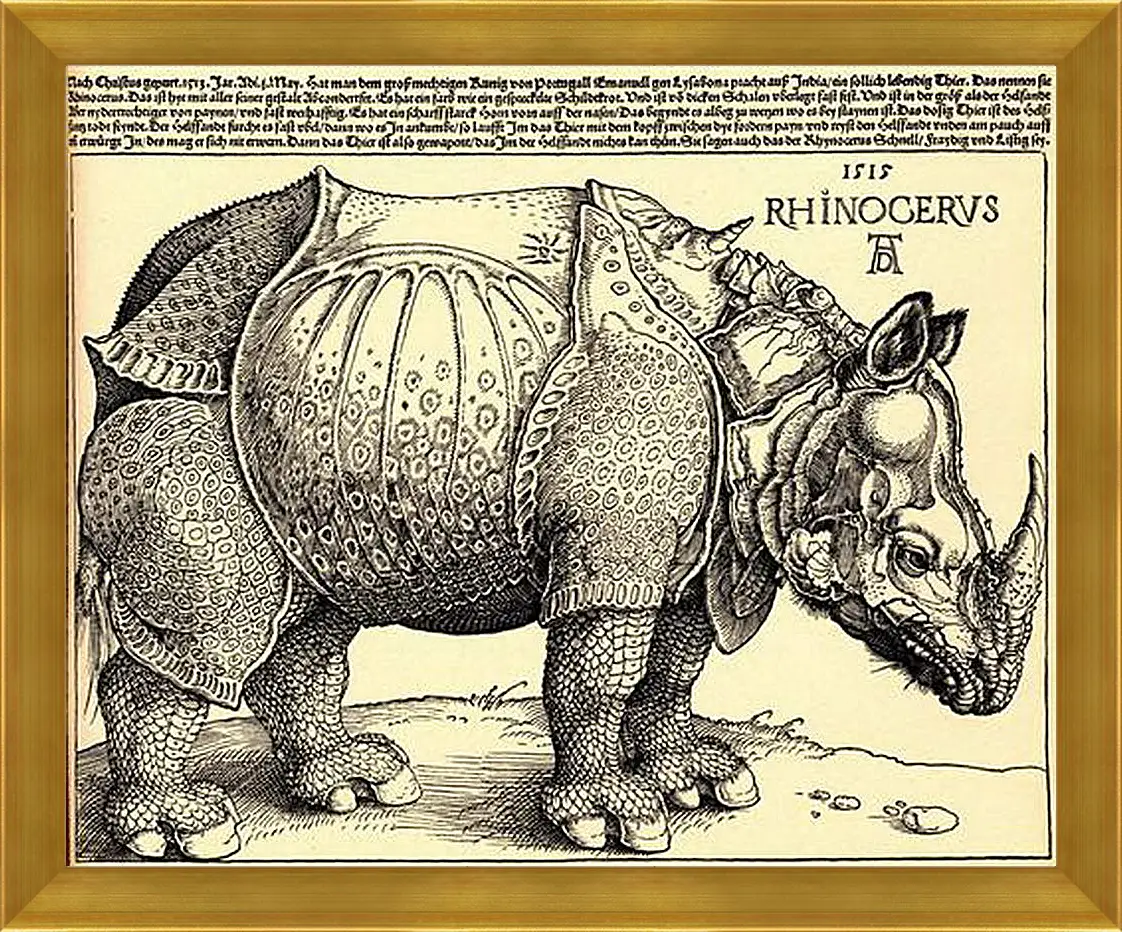 Картина в раме - Rhinoceros. Носорог. Альбрехт Дюрер