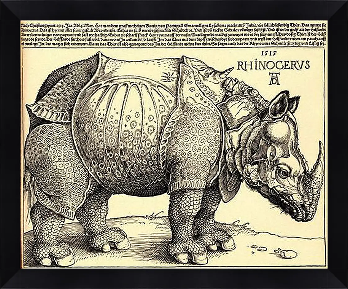 Картина в раме - Rhinoceros. Носорог. Альбрехт Дюрер