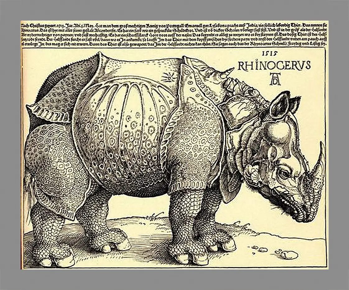 Картина в раме - Rhinoceros. Носорог. Альбрехт Дюрер