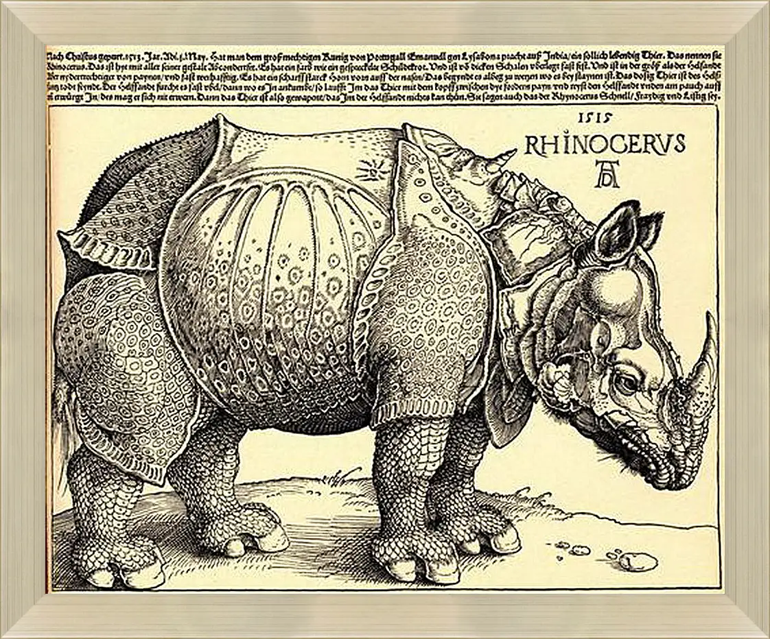 Картина в раме - Rhinoceros. Носорог. Альбрехт Дюрер