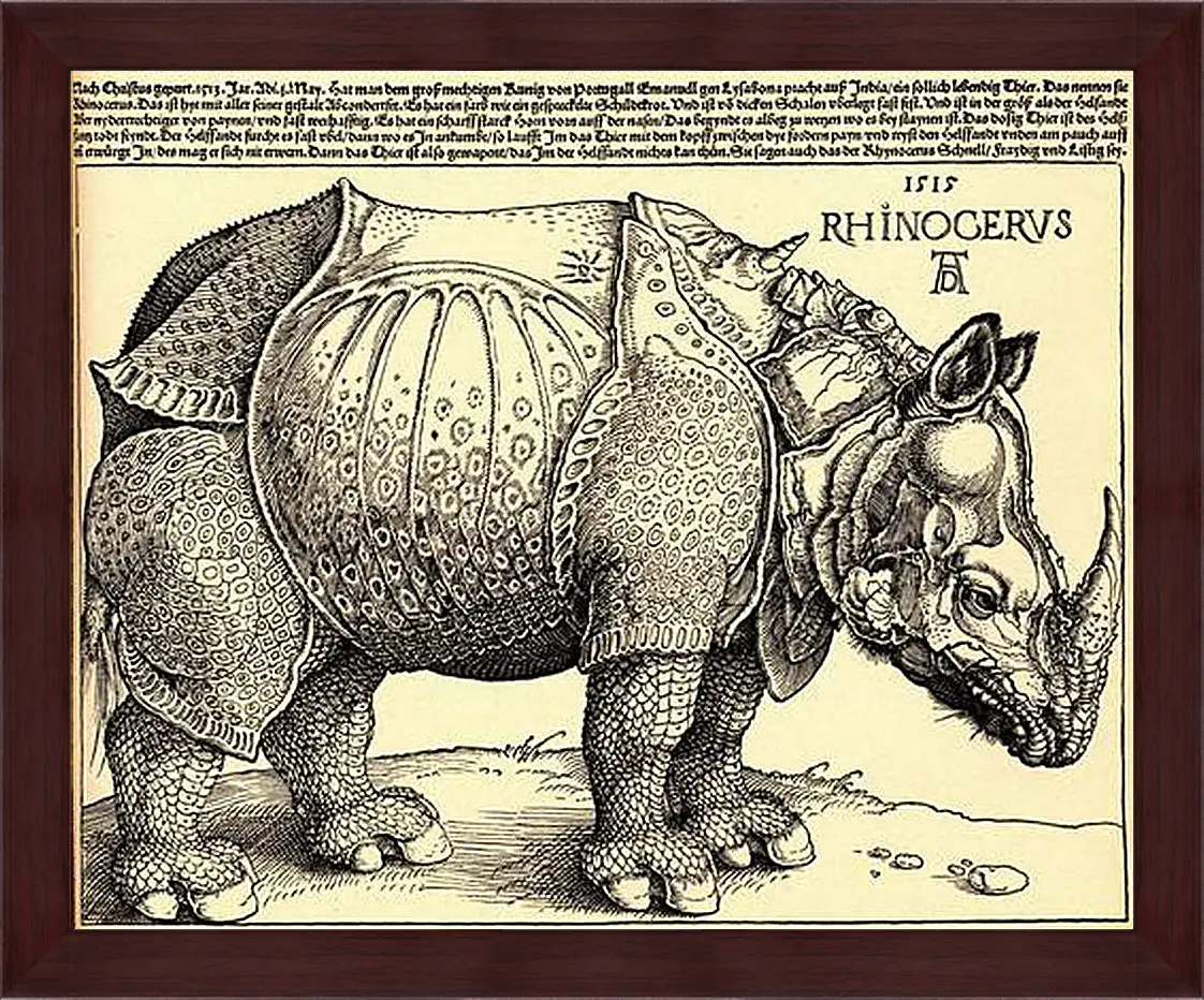 Картина в раме - Rhinoceros. Носорог. Альбрехт Дюрер