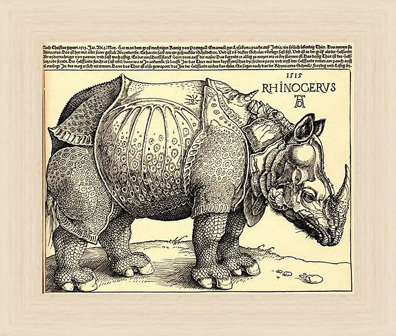 Картина в раме - Rhinoceros. Носорог. Альбрехт Дюрер