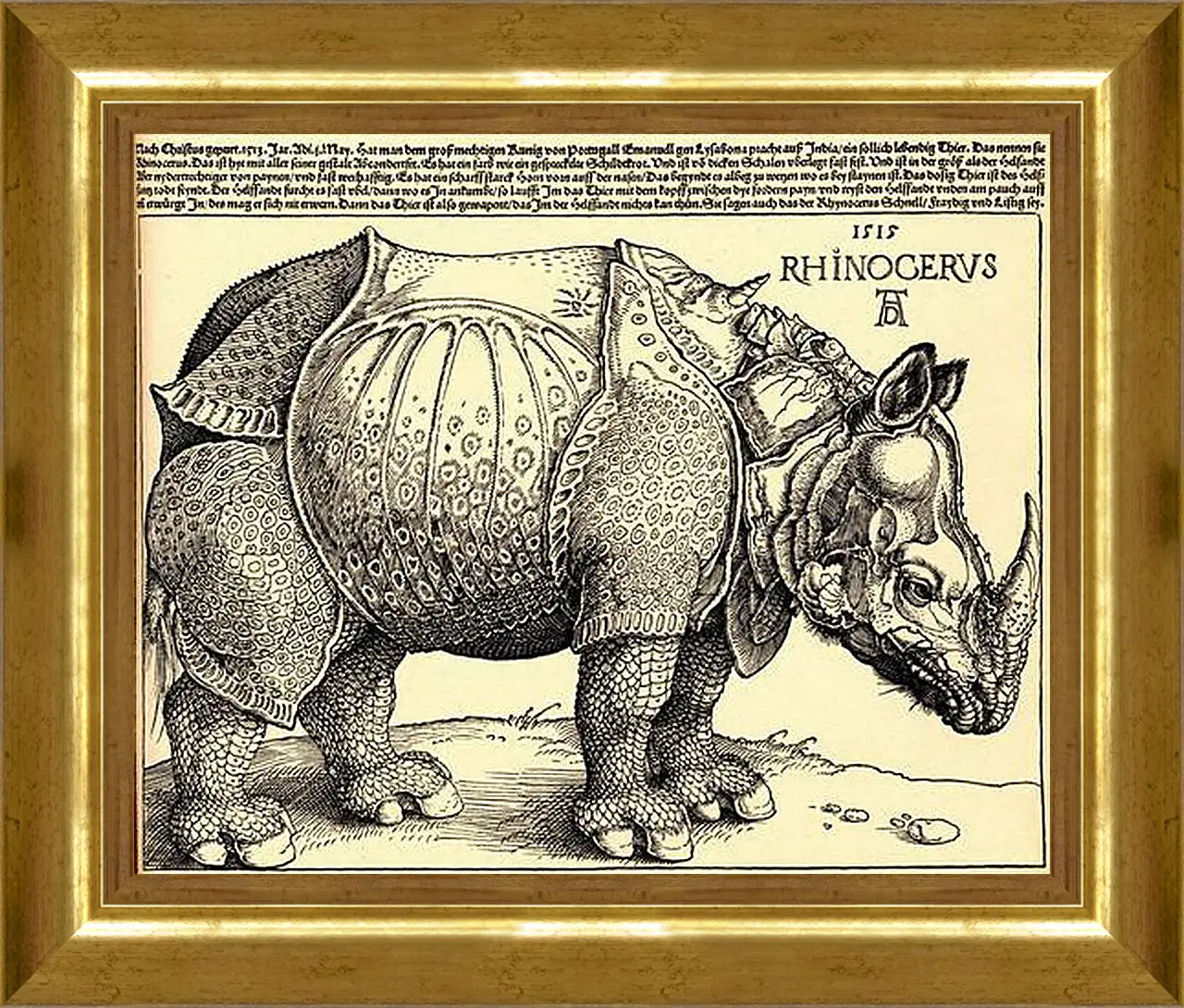 Картина в раме - Rhinoceros. Носорог. Альбрехт Дюрер