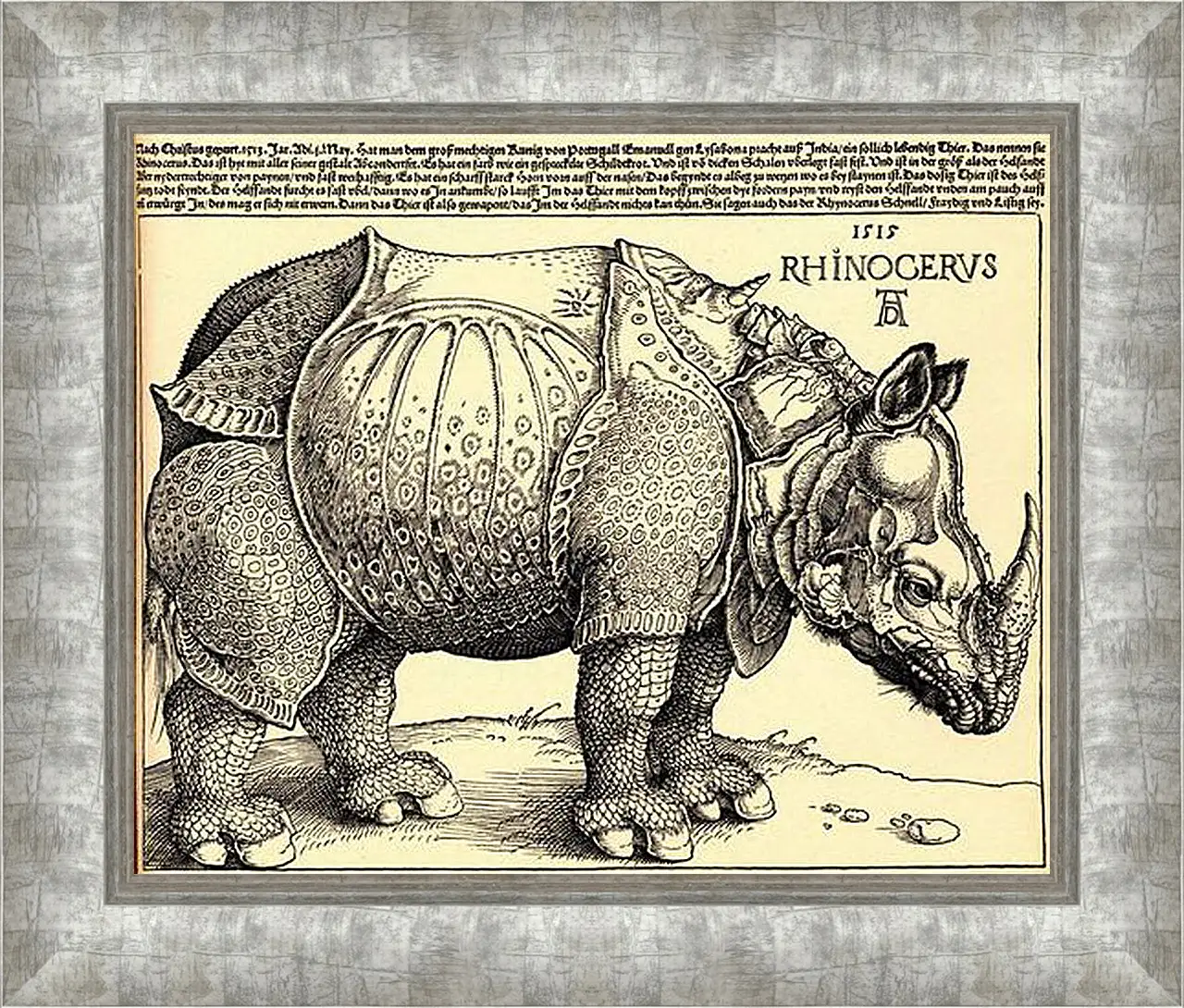 Картина в раме - Rhinoceros. Носорог. Альбрехт Дюрер