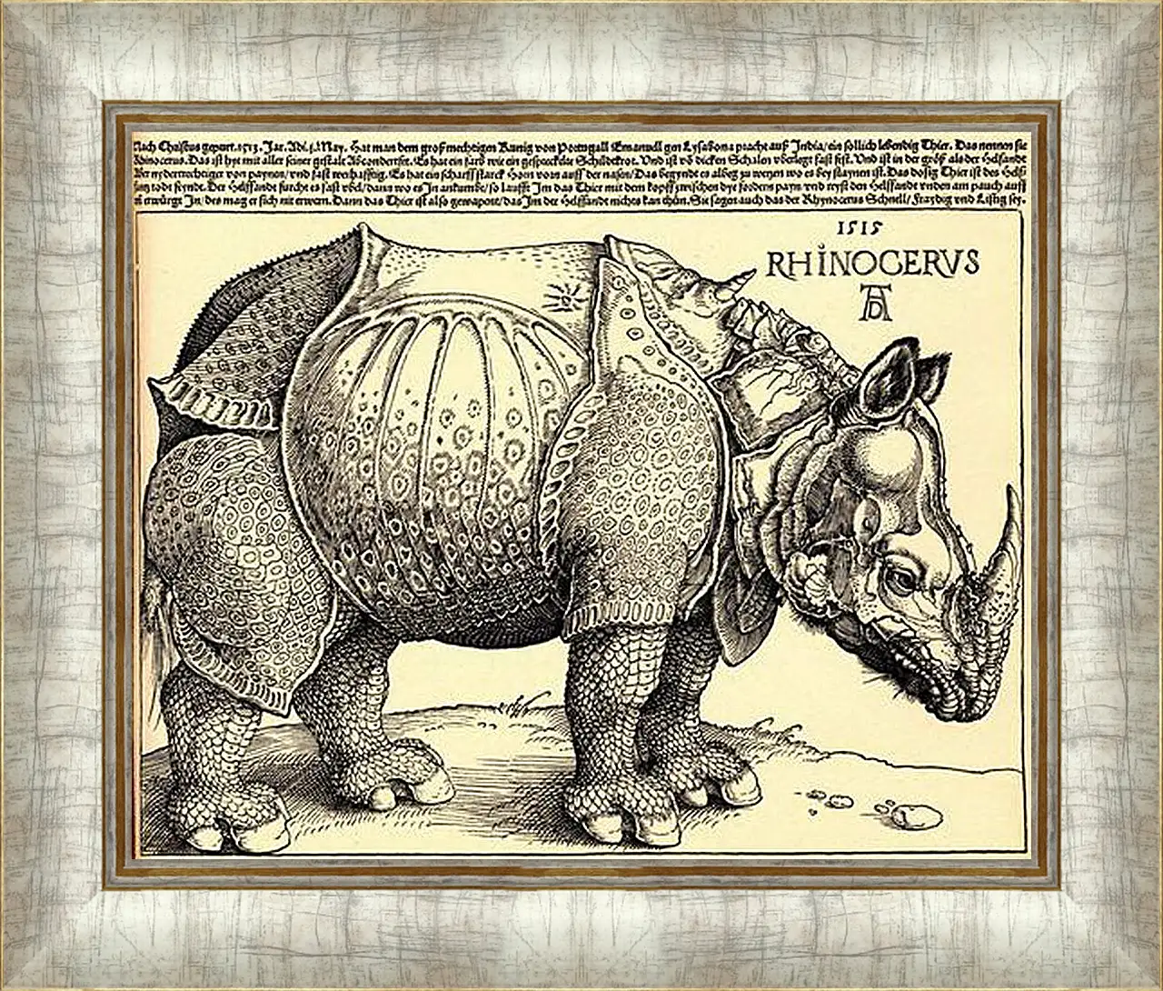 Картина в раме - Rhinoceros. Носорог. Альбрехт Дюрер