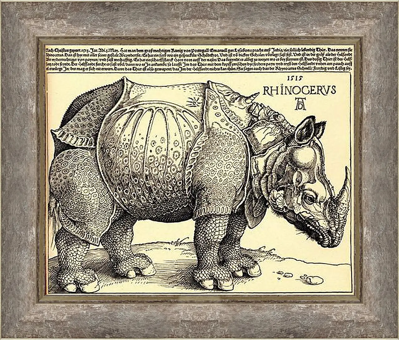 Картина в раме - Rhinoceros. Носорог. Альбрехт Дюрер