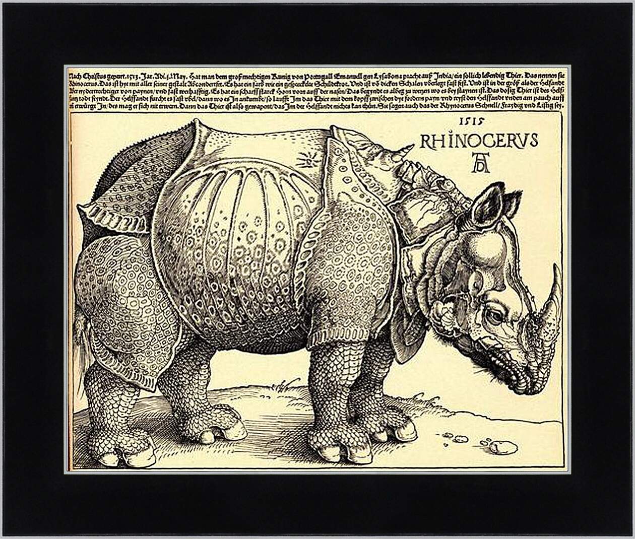 Картина в раме - Rhinoceros. Носорог. Альбрехт Дюрер