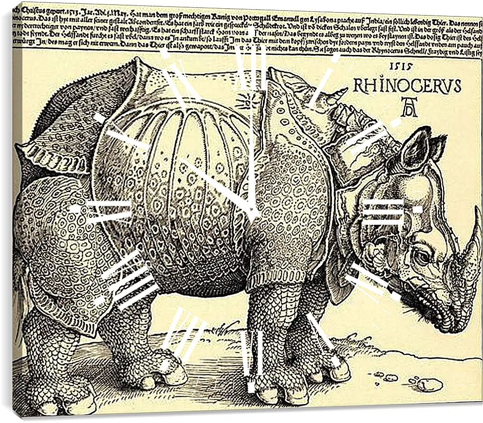 Часы картина - Rhinoceros. Носорог. Альбрехт Дюрер