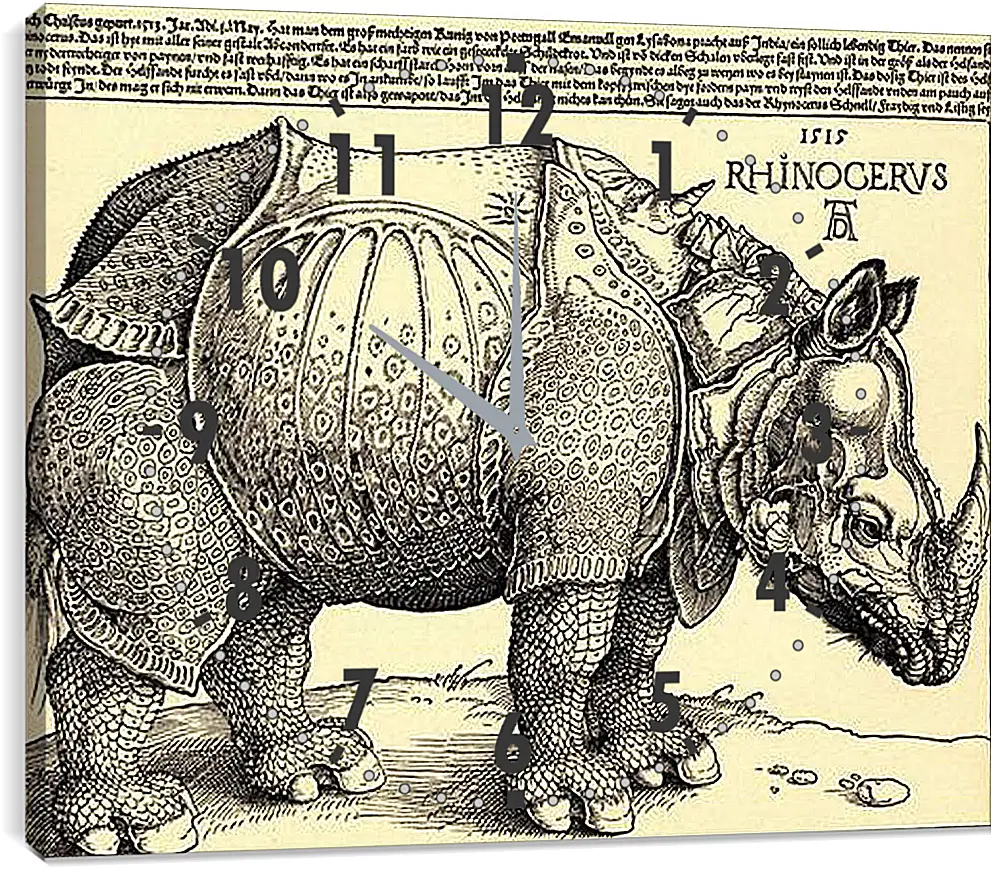 Часы картина - Rhinoceros. Носорог. Альбрехт Дюрер