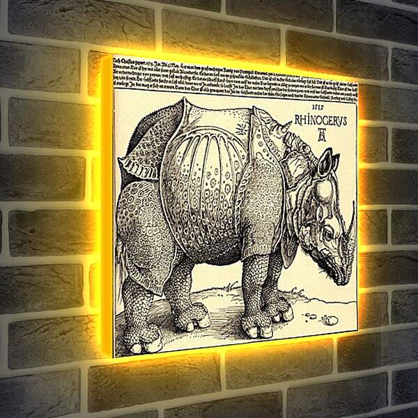 Лайтбокс световая панель - Rhinoceros. Носорог. Альбрехт Дюрер