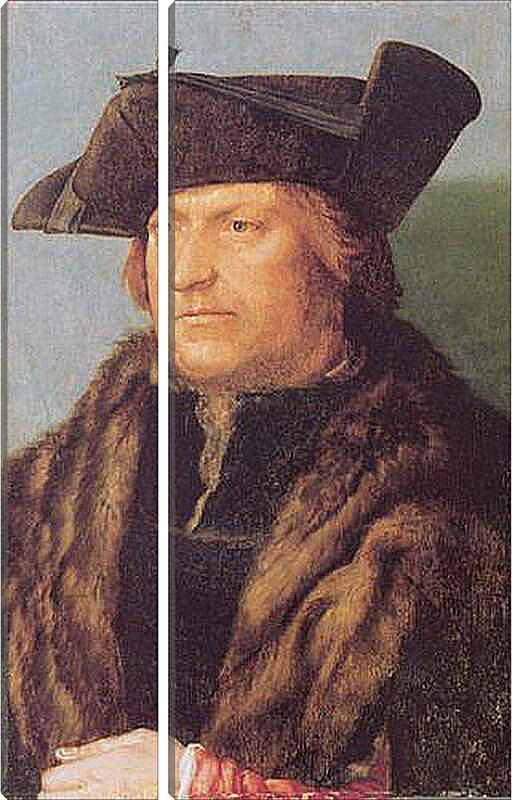 Модульная картина - Portrat des Rodrigo de Almada. Портрет Родриго де Алмада. Альбрехт Дюрер