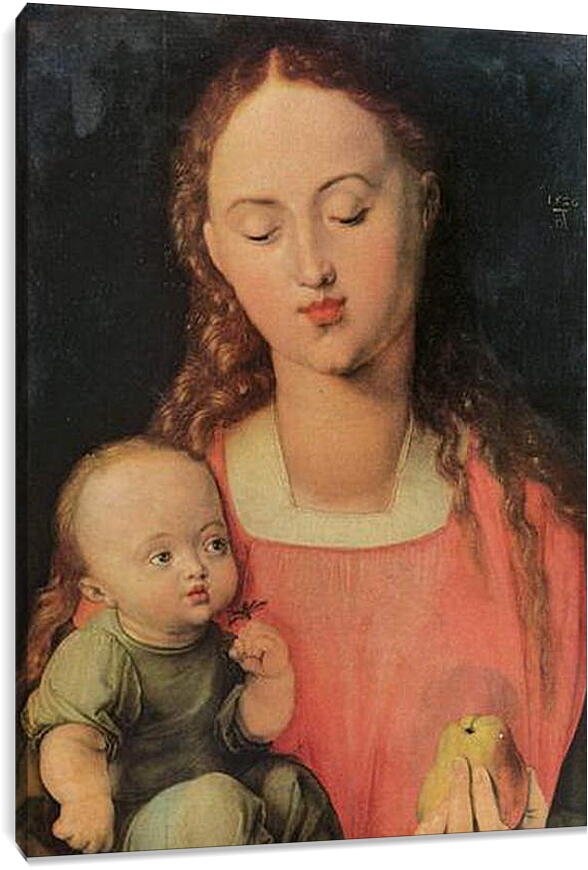 Постер и плакат - Maria mit Kind. Мария с младенцем. Альбрехт Дюрер