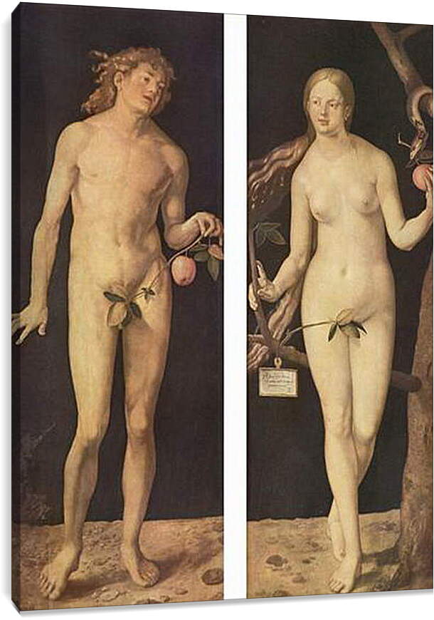 Постер и плакат - Adam and Eve. Адам и Ева. Альбрехт Дюрер