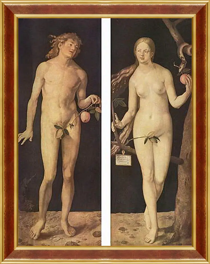 Картина в раме - Adam and Eve. Адам и Ева. Альбрехт Дюрер