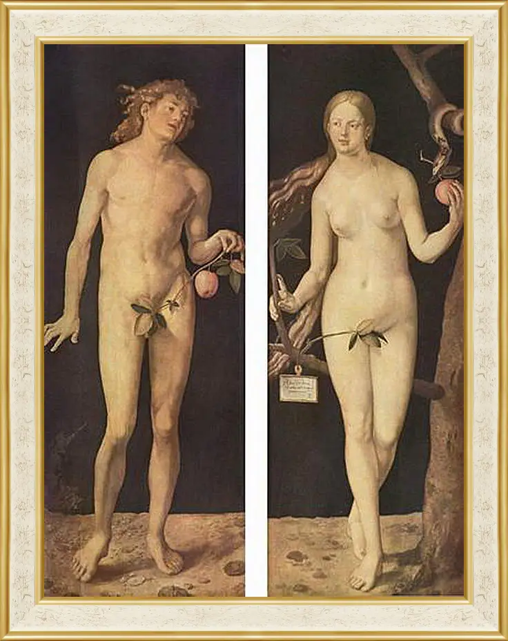 Картина в раме - Adam and Eve. Адам и Ева. Альбрехт Дюрер