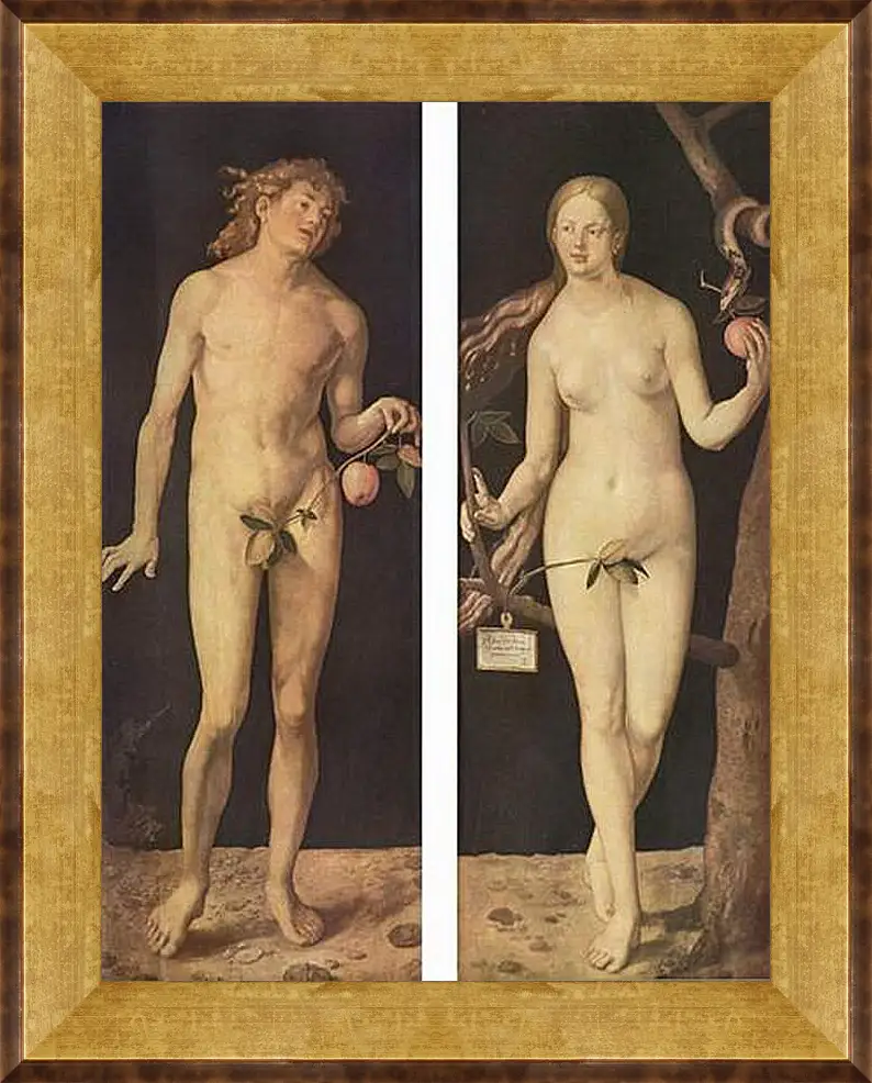 Картина в раме - Adam and Eve. Адам и Ева. Альбрехт Дюрер