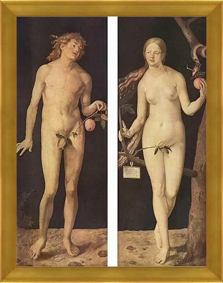 Картина в раме - Adam and Eve. Адам и Ева. Альбрехт Дюрер