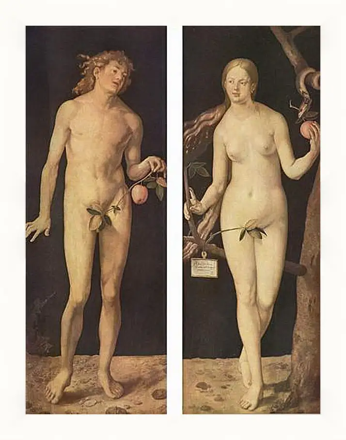 Картина в раме - Adam and Eve. Адам и Ева. Альбрехт Дюрер