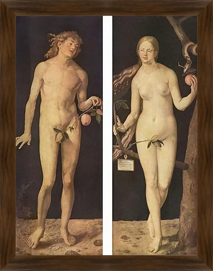 Картина в раме - Adam and Eve. Адам и Ева. Альбрехт Дюрер