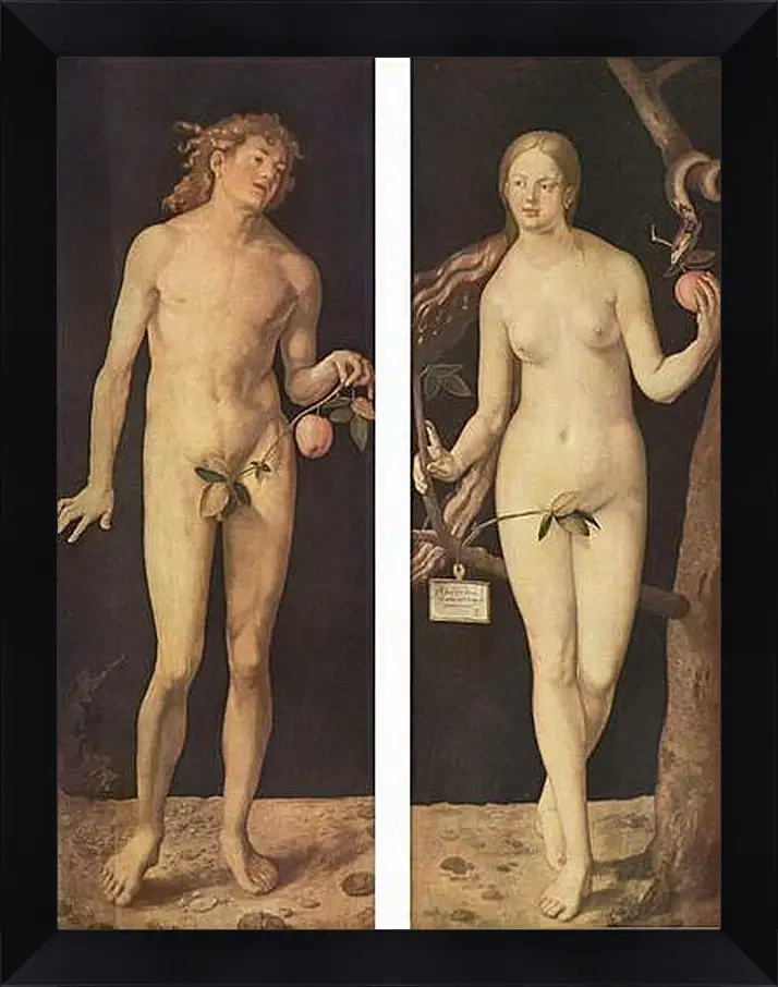 Картина в раме - Adam and Eve. Адам и Ева. Альбрехт Дюрер