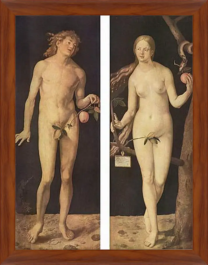 Картина в раме - Adam and Eve. Адам и Ева. Альбрехт Дюрер