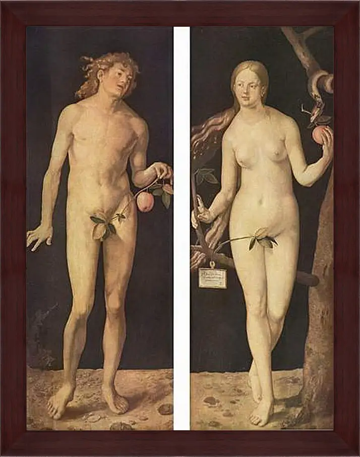 Картина в раме - Adam and Eve. Адам и Ева. Альбрехт Дюрер