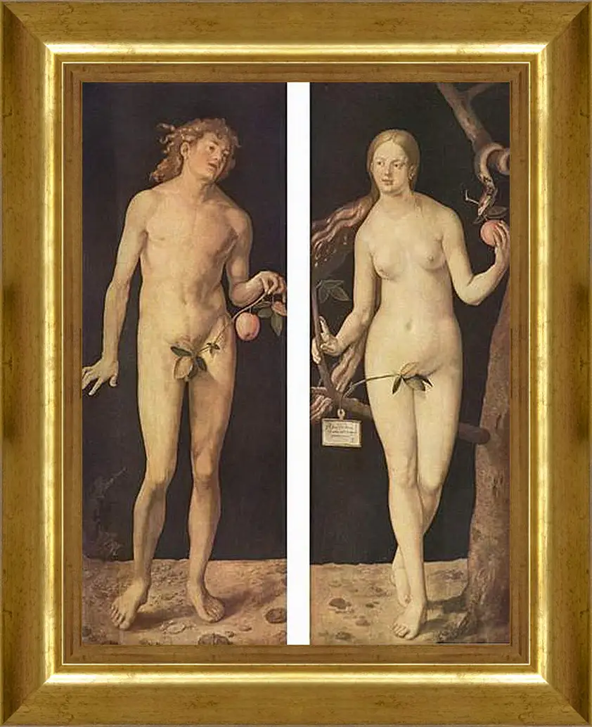 Картина в раме - Adam and Eve. Адам и Ева. Альбрехт Дюрер