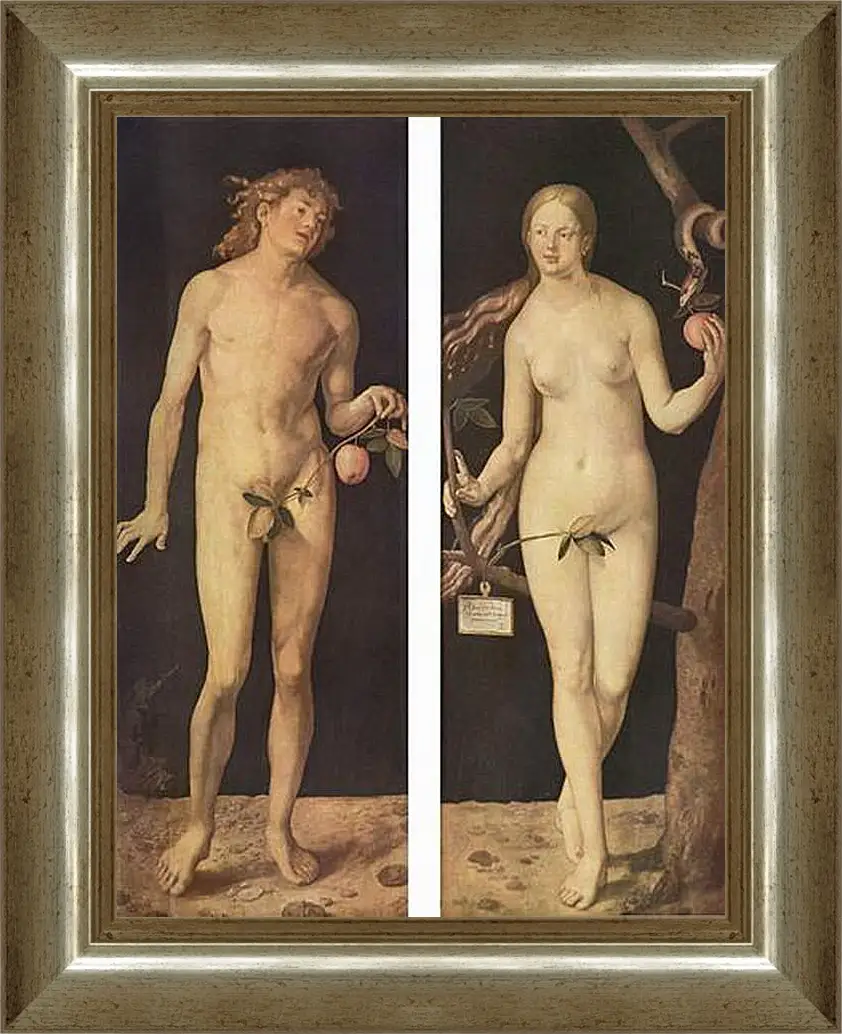 Картина в раме - Adam and Eve. Адам и Ева. Альбрехт Дюрер