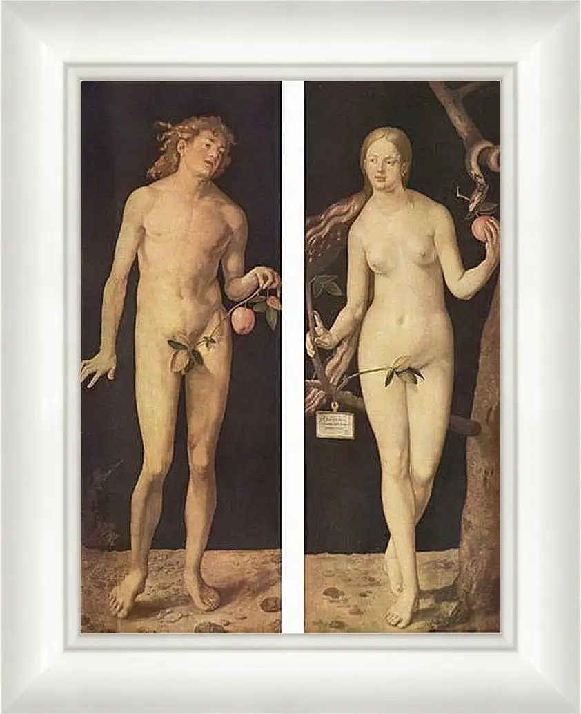 Картина в раме - Adam and Eve. Адам и Ева. Альбрехт Дюрер