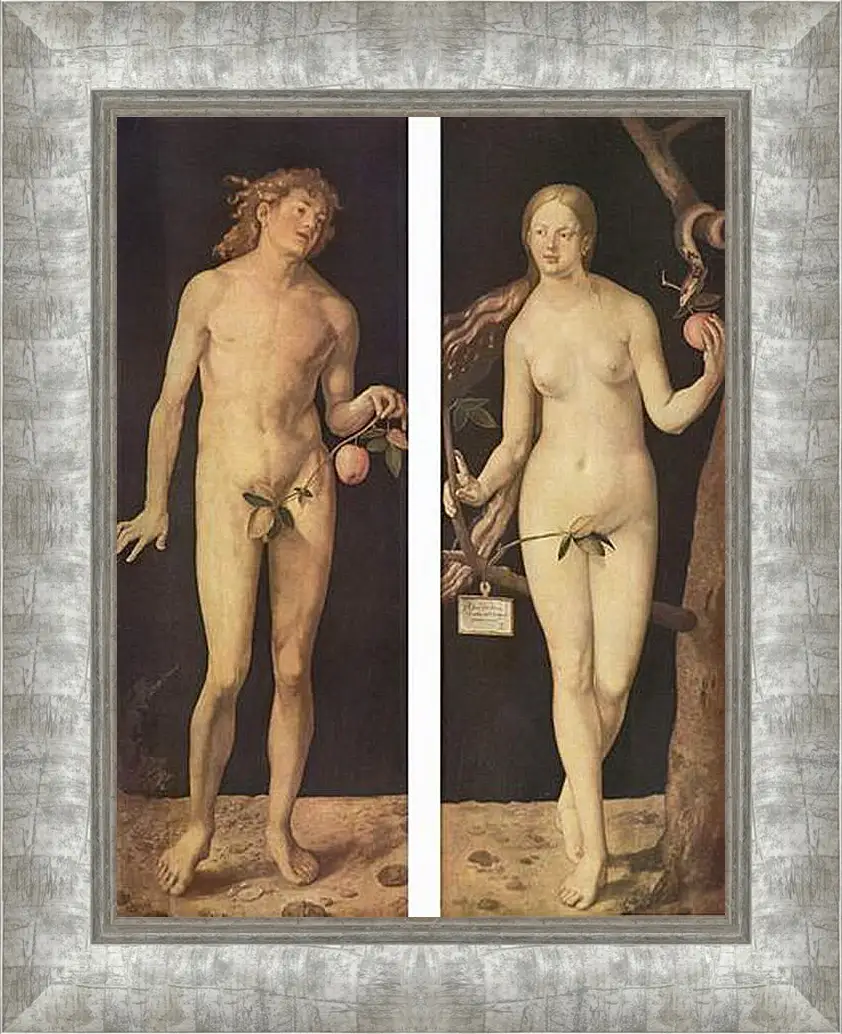 Картина в раме - Adam and Eve. Адам и Ева. Альбрехт Дюрер