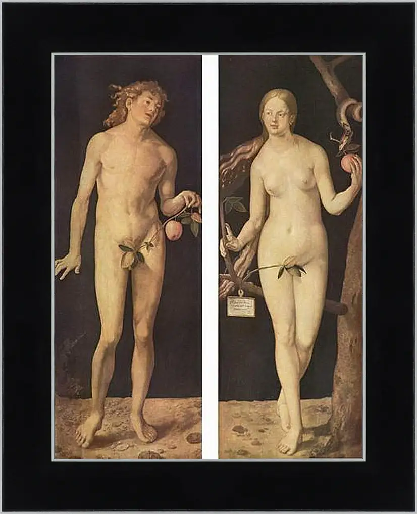 Картина в раме - Adam and Eve. Адам и Ева. Альбрехт Дюрер