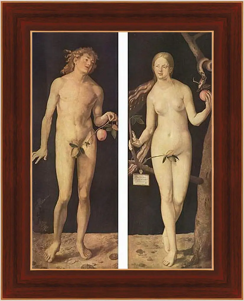 Картина в раме - Adam and Eve. Адам и Ева. Альбрехт Дюрер