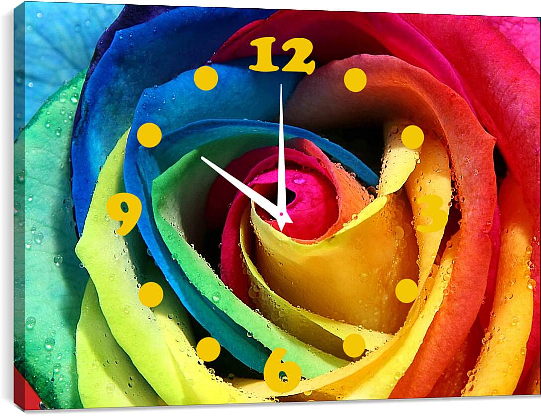 Часы картина - Разноцветная роза