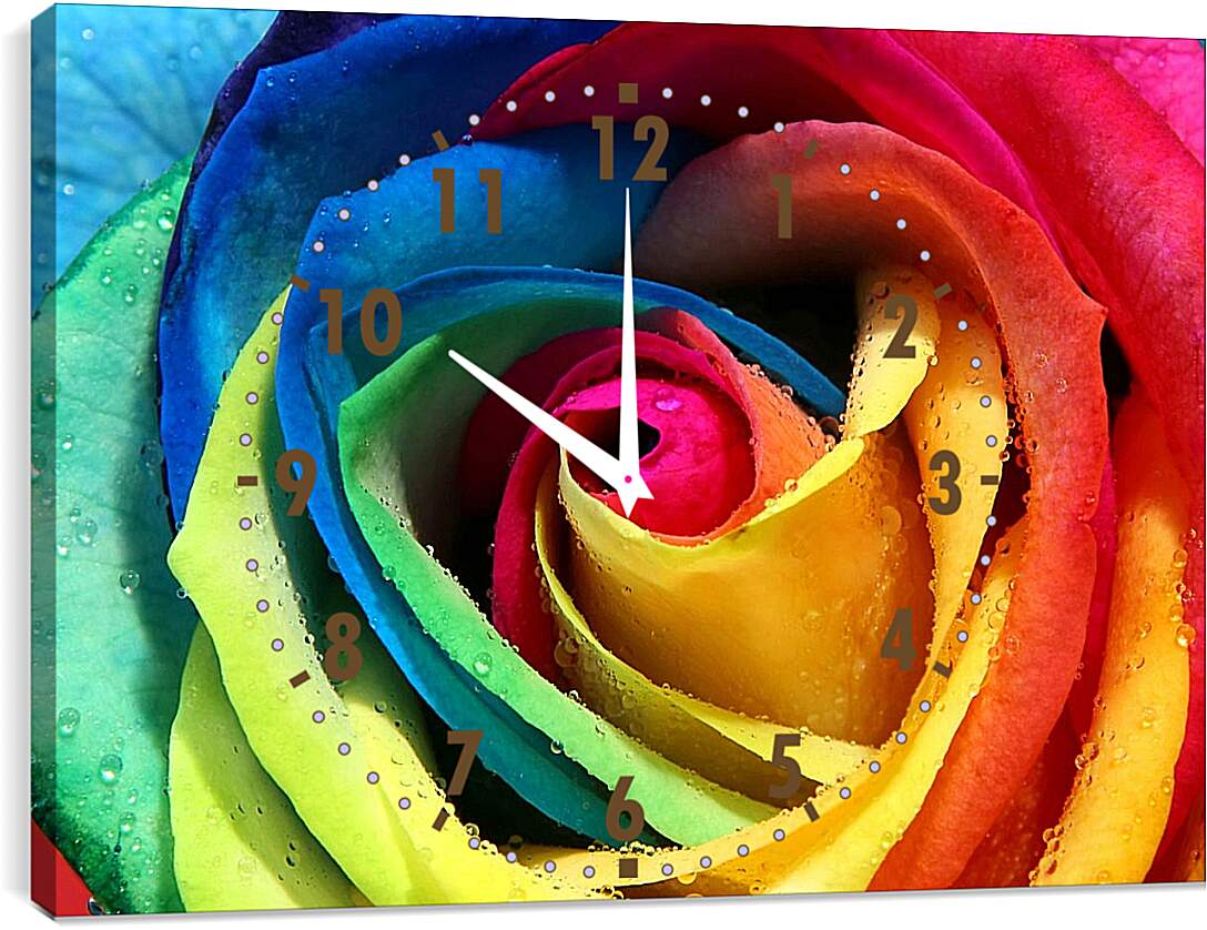 Часы картина - Разноцветная роза