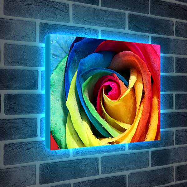 Лайтбокс световая панель - Разноцветная роза