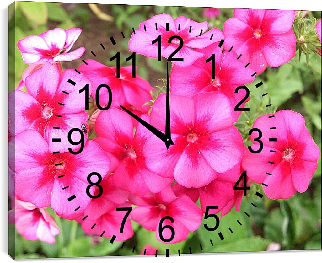 Часы картина - Дикие цветы