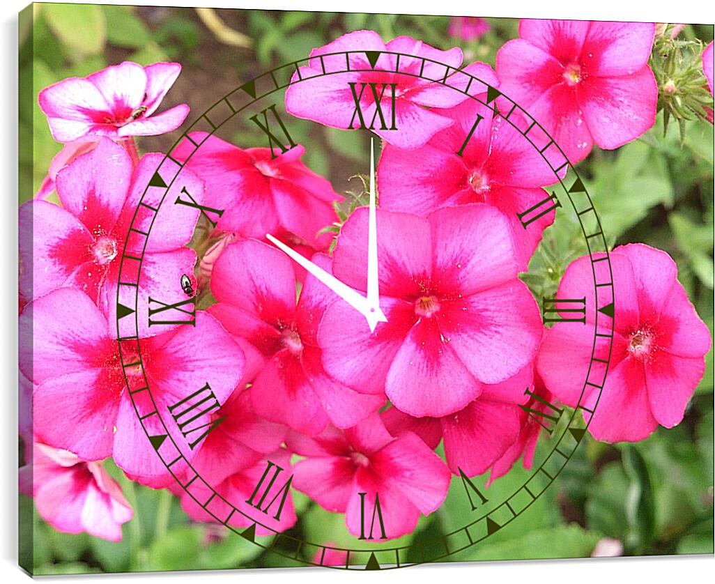 Часы картина - Дикие цветы