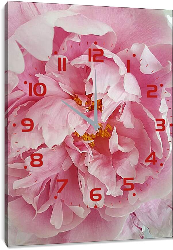 Часы картина - Пион розовый