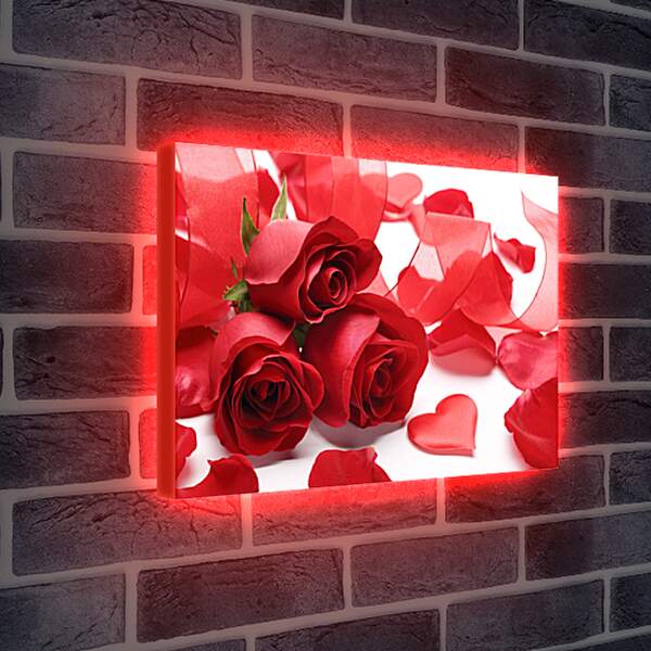 Лайтбокс световая панель - Лепестки роз
