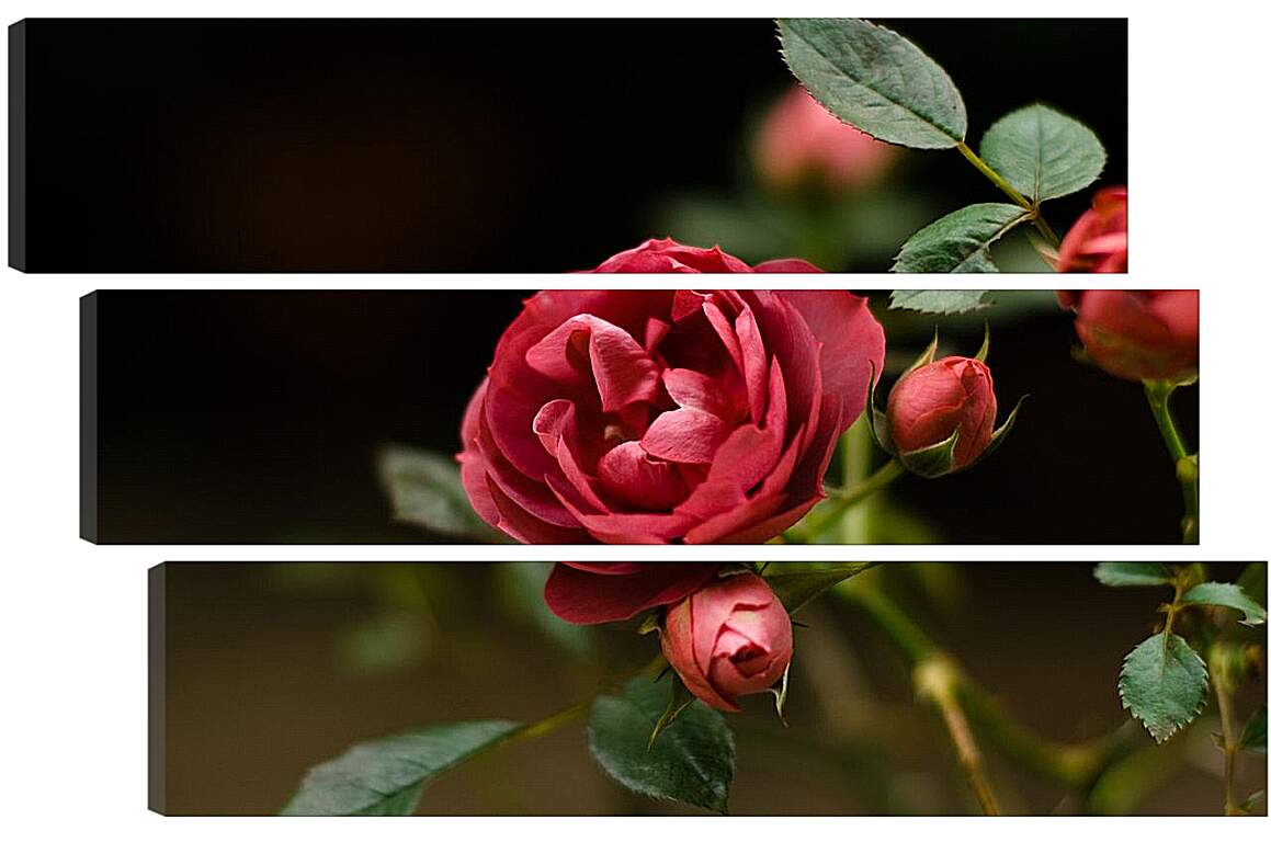 Модульная картина - Розы