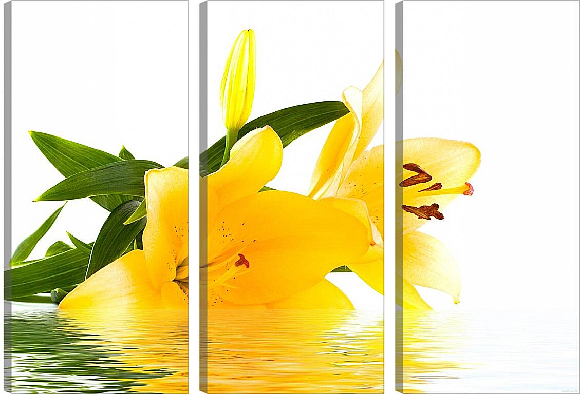 Модульная картина - Желтая лилия на воде