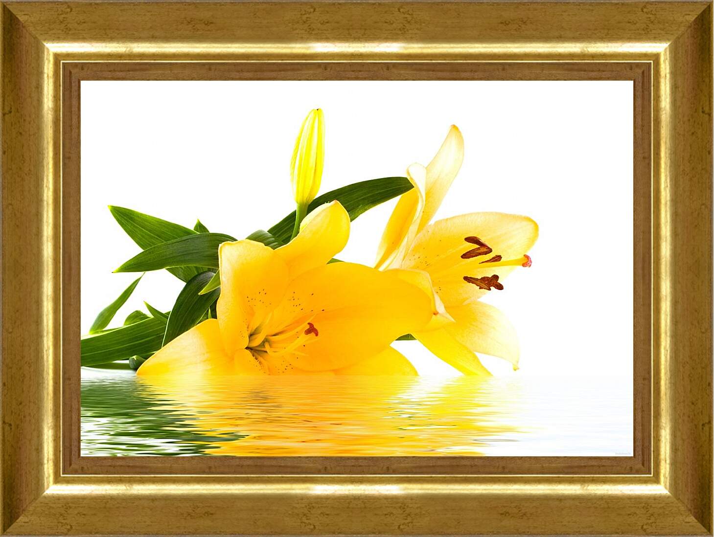 Картина в раме - Желтая лилия на воде