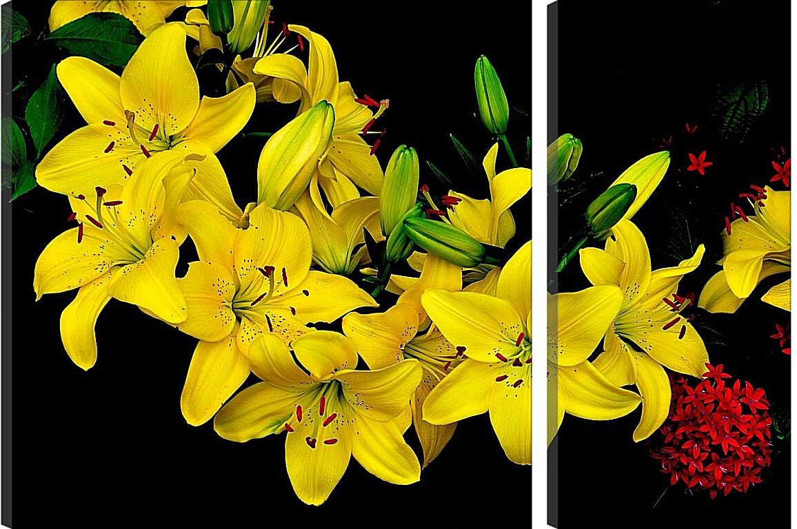 Модульная картина - Желтые лилии