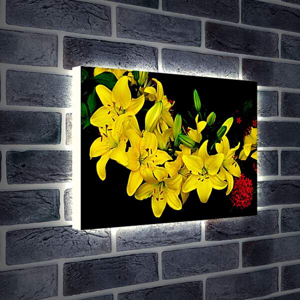Лайтбокс световая панель - Желтые лилии
